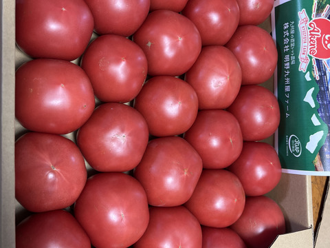 【訳有り品】キズあり不揃いトマト約3.6キロ