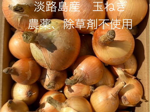 農薬、除草剤不使用！淡路島玉ねぎ9kg ペコロス1kg 計10kg