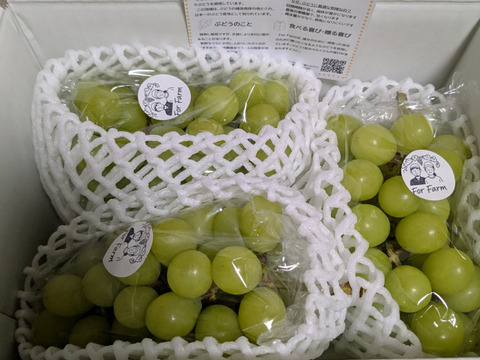 【食べる喜び・贈る喜びを感じる】★訳あり・家庭用★シャインマスカット1㎏　2～3房