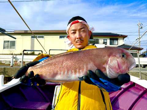 【超高級魚】白甘鯛の一夜干し5pc
