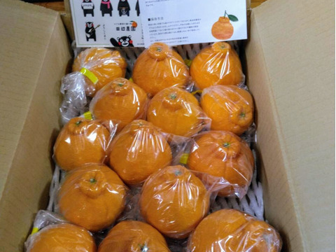 不知火デコ柑3k以上入ってます、サイズコミコミB品小玉多めになります。