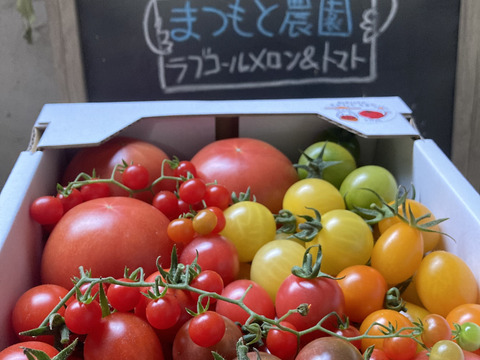 【今だけ800円OFF】【冬ギフト】【大満足セット】トマト、ミニトマト、カラフルトマトの詰め合わせ7種の1.5キロ
