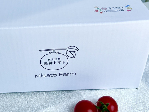 【朝どれ】本当に甘い！美健トマト®︎（1.0キロ）　※特別価格で販売中