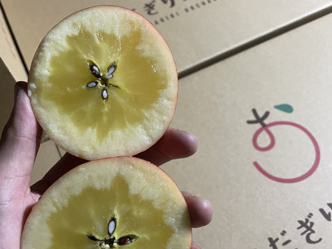 【先行予約】蜜入り！贈答用高徳＆ぐんま名月3キロ（11個〜12個）