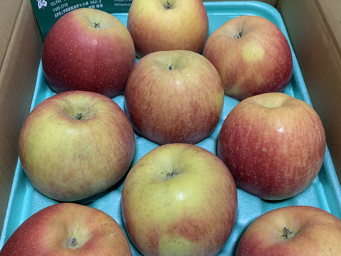 【予約販売・数量限定】長野県産りんご３㎏（サンふじ）（１２月発送）