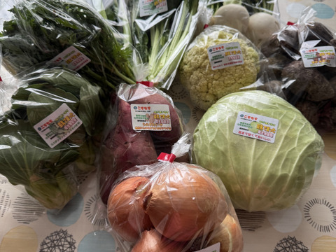 《味に自信あり》豆乳で育った特別栽培　旬の野菜セット（大）＋おまけ【翌日発送 毎日便 対応】