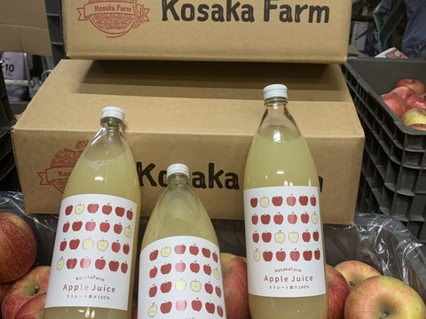 ちゃぷ様専用　りんごジュースセット