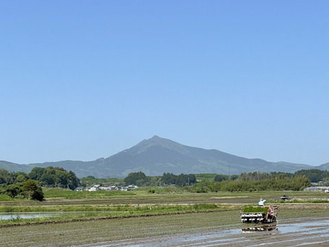 【あざらし様専用】玄米30kg