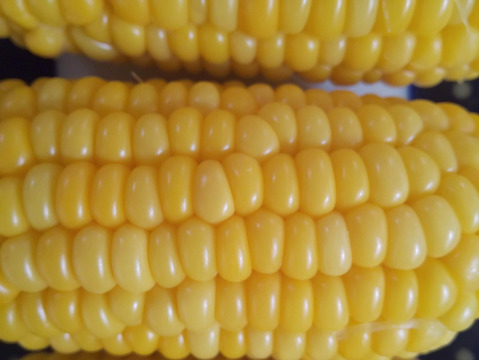 濃厚な甘みの🌽先端カット５本