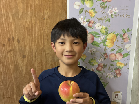 【息子が好きって言うから…】ぐんま名月3kg8玉～11玉