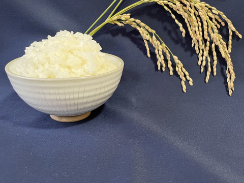 【リオレのレシピ付き】特別栽培米🌾栃木県産令和3年度コシヒカリ🐃（5キロ）