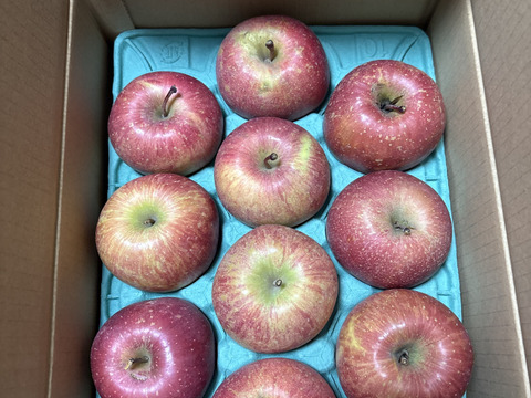 2026年度産予約開始🍎青森県産完熟葉取らずふじ家庭用キズあり約3kg‼️