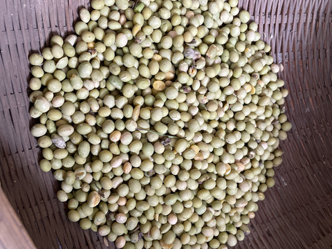 醤油作成キット（500ml分）