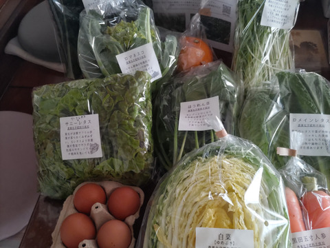 【平飼い卵野菜セット】農薬不使用キラピカ旬野菜BOX７〜8品、平飼い卵セット・朝穫れ農の島＊大三島＊よりお届け！