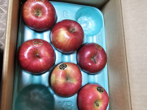 權之丞の葉取らずミックス！　🏆2025年りんごGP金賞受賞🎊葉取らず高徳&葉取らずサンふじ　家庭用2kg【5〜10個入り】