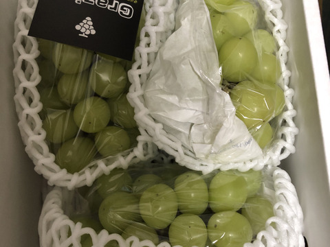 最終セール🍇山形県産シャインマスカット 【3-4房