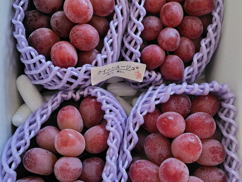 【贈答用】 クイーンルージュ®︎  約２kg前後 【長野県限定品種】