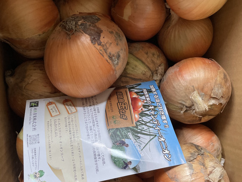 【数量限定特別価格】【数量限定：大家族・飲食店応援企画】淡路島産玉ねぎ訳あり10ｋｇ