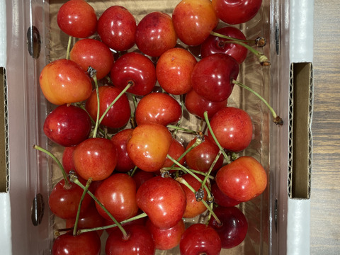 【 🍒30箱限定価格🍒 】【 さくらんぼ:紅秀峰 】山形県天童産  300g パック詰め 【 果肉がジューシー 】【 お試し商品 】母の日ギフト 父の日ギフト 御中元【 朝どれ 】