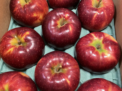 綺麗な秋映 ３キロ箱 7～11玉 長野県産