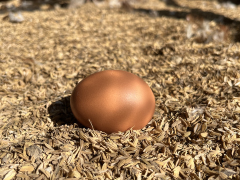 🎁【冬ギフト】🎁 冬のご挨拶に⛄️【あかねの虜】Lサイズ（40個入り） 28歳2児の母がプロデュースした話題の卵【お歳暮・お年賀など熨斗対応可能👌】※ご希望の場合は特記事項へご記入ください