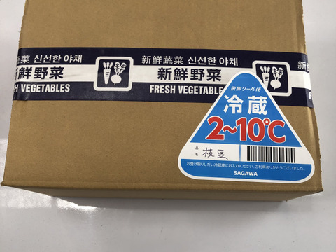 朝採りブランド枝豆のハネダシ！規格外品。捨てるには勿体無い。