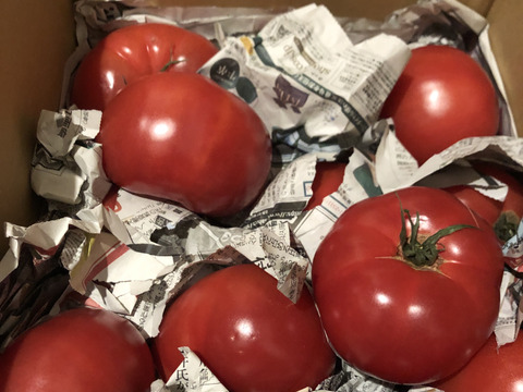 毎食トマト！栄ちゃんトマト　　Ｂ級品入り特大トマト　6キロ入り。
今年もデカい、美味い、ジューシー！