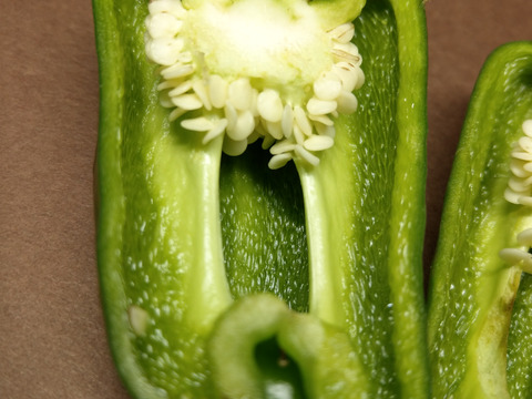 採れすぎて大特価！！信州産ピーマン１㎏（約32個前後）