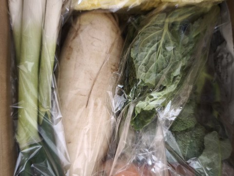 旬の露地野菜セット(お試しミニサイズ/5品程度)