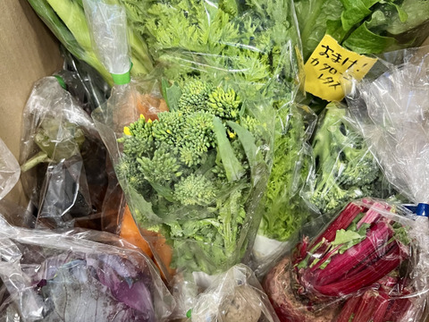 【初回限定BOX】シェフ御用達！医療人が栄養価にこだわった【旬の機能性野菜9~10品目セット】
