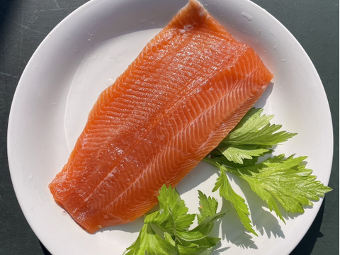 旨味と甘みの絶品桃太郎サーモン　フィレ　800ｇ～1200ｇ