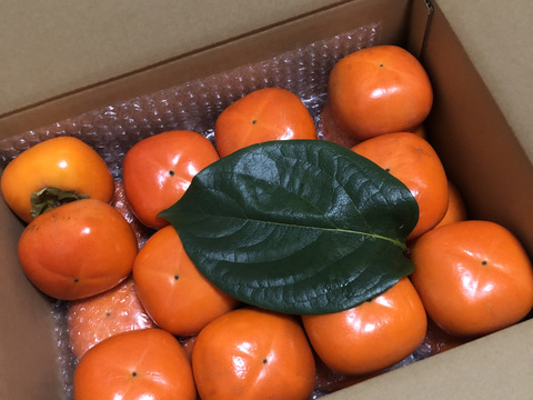 秋来る　たねなし柿（箱込み５kg以内・２４～ ３０個入り）※ご家庭用