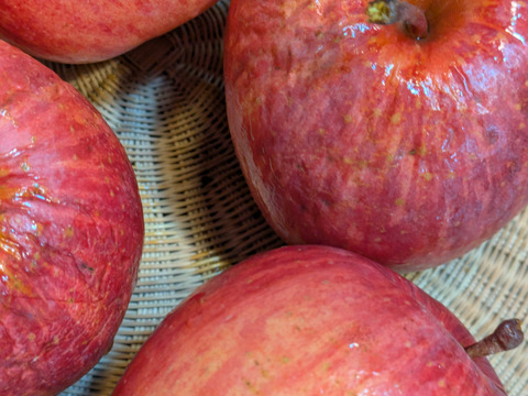 りんご　サンふじ　約６８％農薬カット　20-23個　約6キロ　小玉多め　天然冷蔵庫で冬越したもの。シワシワ有りで、かなり鮮度落ちてます。