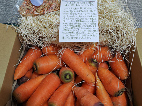 【自然農】今季最期の冬人参（3kg）無施肥・農薬不使用・露路栽培・自家採種