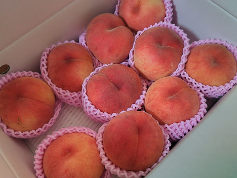 🍑珍しい桃　まどか　約3kg 8～14玉　8月中旬発送【ASIAGAP認証農場：津軽農園】　安心・安全な桃　収穫した日に発送　家庭用　農家直送【朝どれ】