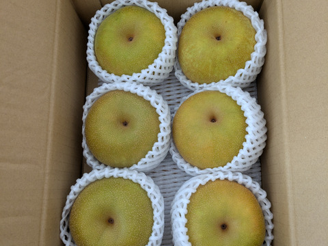 【幸水２ｋｇ】高原の「幸水」は硬さ、シャリ感、ジューシー、甘さが違う。④海藻エキス投与で、コクと旨味のある梨にグレードアップ！【秀品】先行販売3