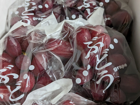 人気上昇中♪魅惑の甘さのレア品種「クイーンセブン」約1.2kg〜山梨