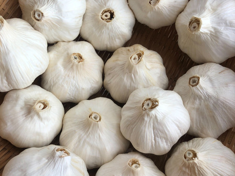 にんにくパワーでこの夏を乗り切ろう!