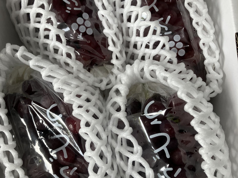 すぐ発送！訳あり小粒小房1.2キロ2-5房入り　極甘クイーンセブン　ぶどう　シャインの子