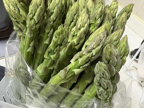 朝どれ】アスパラガス B品 サイズ混合 1kg 【収穫当日発送】：新潟県