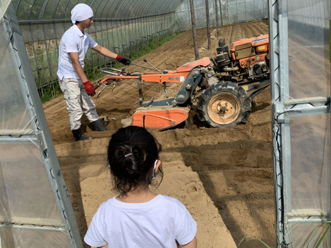 小さな農家の丁寧ほうれん草　1kg（150ｇ×7袋）期間限定！