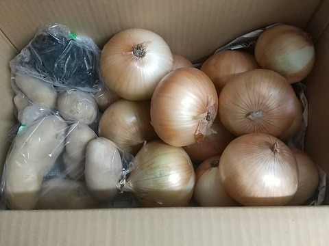 大好評，地層が違う淡路島、大玉、新玉ねぎ、七宝早生(風袋込み3キロ)