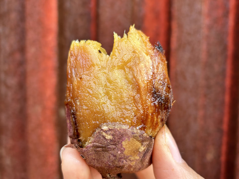 《3ヶ月熟成》ねっとり甘〜い紅はるか2L以上／15kg