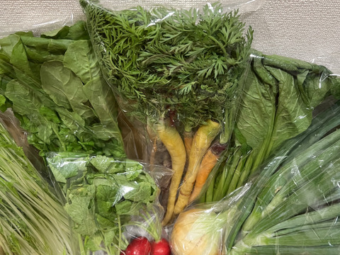 ＼シャキうま！／南房総の旬野菜セット！セレクトおまかせ【8品目】