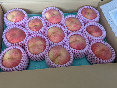 たっぷりサイズ！旬の桃 品種おまかせ L玉以上！約5kg【クール便】