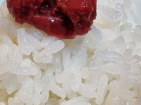 昔ながらの　すっぱい自然の味!　おかあちゃんの 梅干ペースト「種とりました」（梅肉）150g ×1個