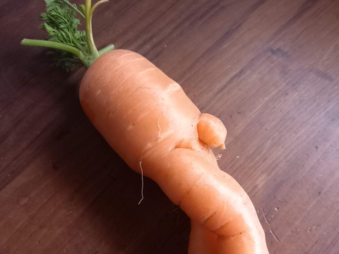 【お得】黒田五寸人参B品〈農薬等、肥料も不使用栽培〉5キロ