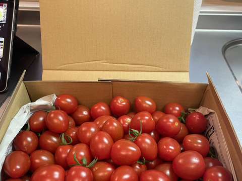 『訳ありA品・アイコ♪』2kg箱:ヘタあり・ヘタ無しランダム♪ちょうどいい酸味と甘味あり満足