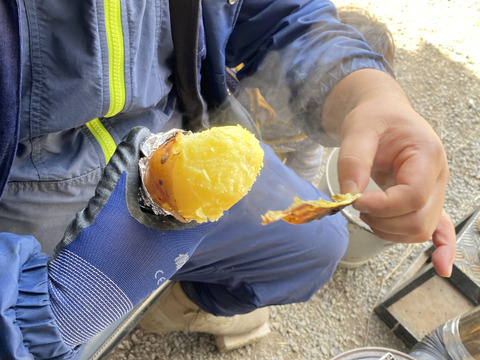農薬不使用のお得な旬の野菜セット✨美味しいをお届け【数量限定】