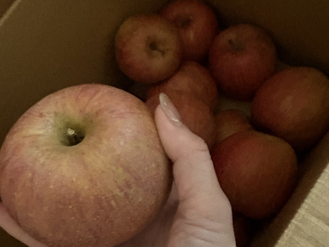 【大特価！ 🍎訳あり・サンふじ】  7㎏ (サイズミックス 28～32個)